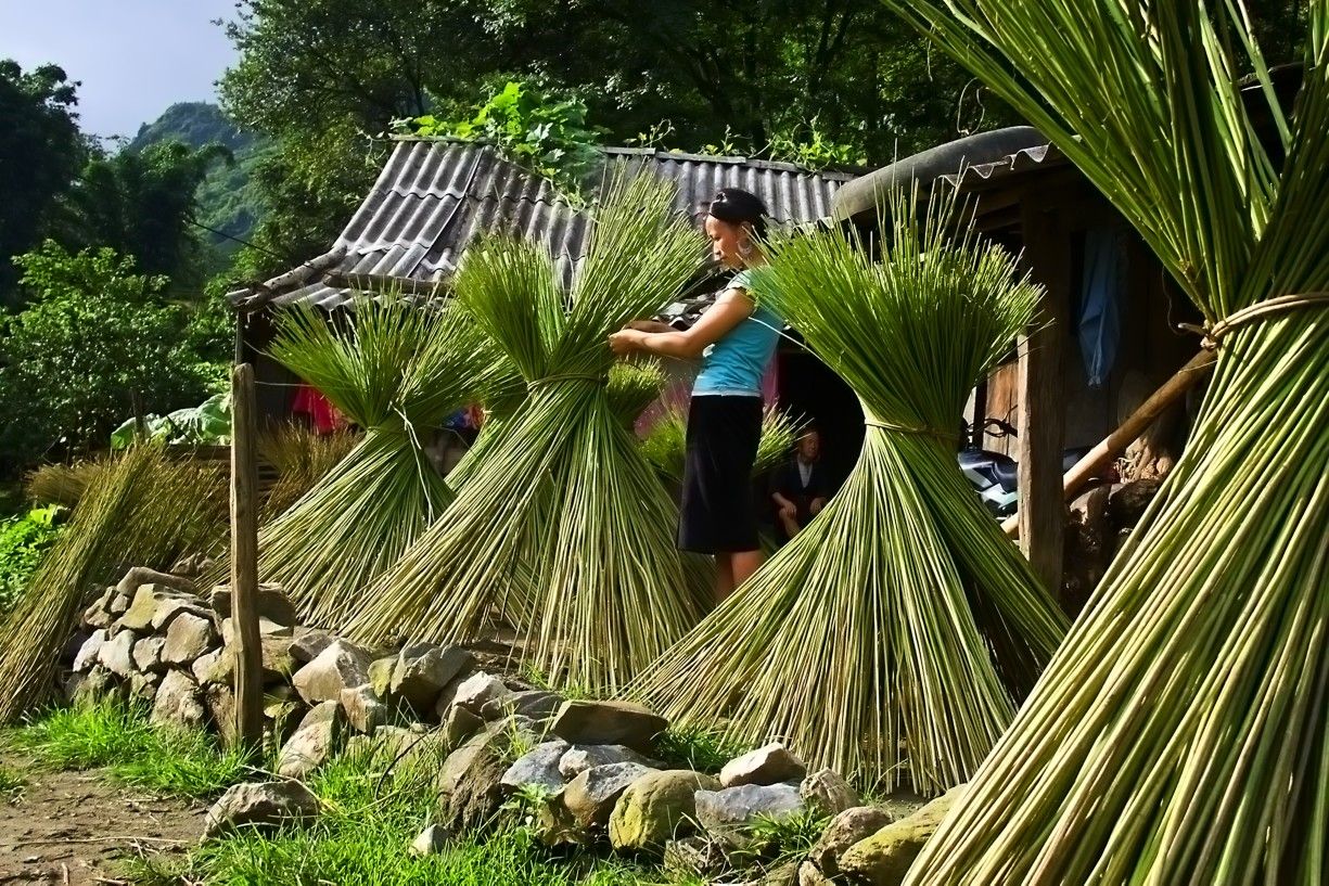 Quy trình sản xuất vải lanh