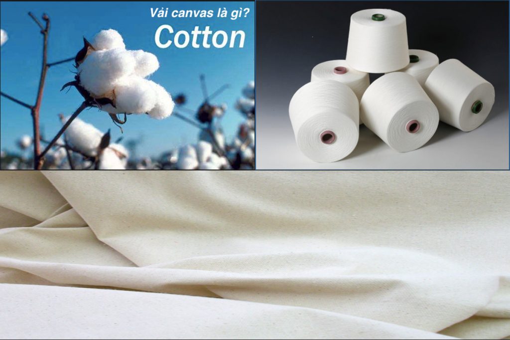 Vải canvas dệt từ sợi cotton