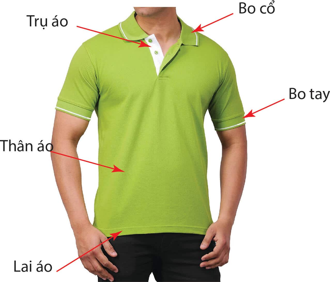 Các bộ phận của áo thun cổ trụ đồng phục